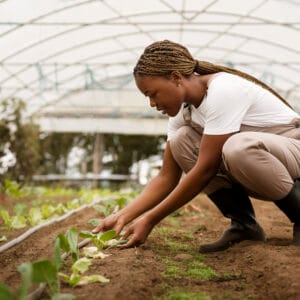 Top Benefits of Installing a Drip Irrigation System on Your Farm
