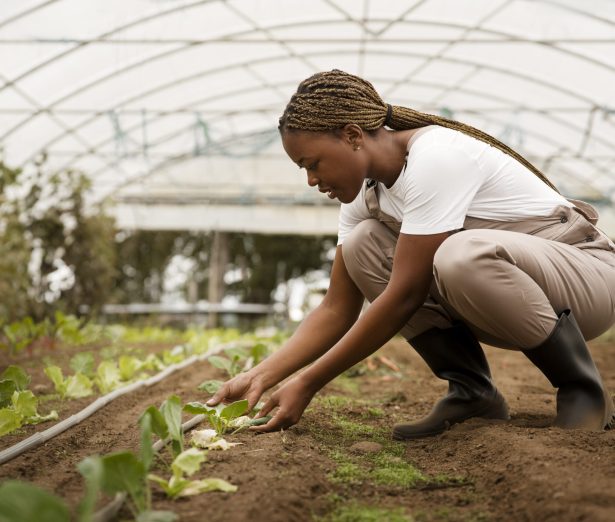 side-view-woman-taking-care-plants