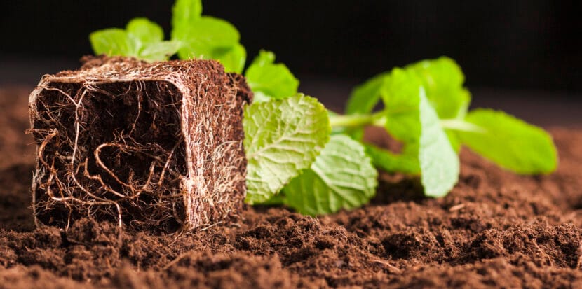 soil test and analysis