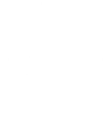 ft-shap-layer1