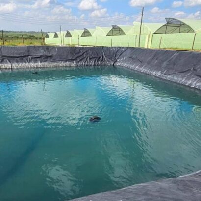 Rain Water Harvesting and Fish Pond