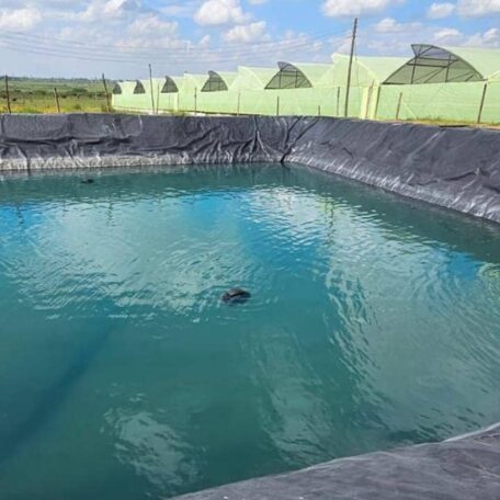 Rain Water Harvesting and Fish Pond