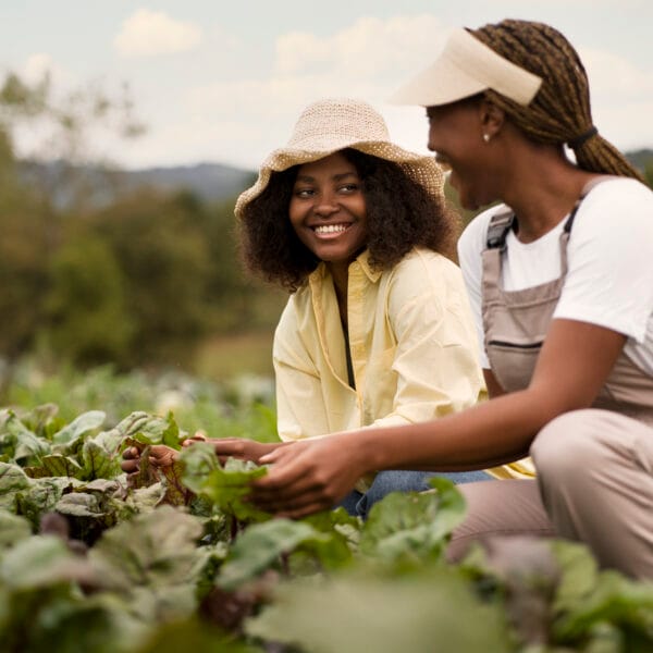 side-view-smiley-women-working-together