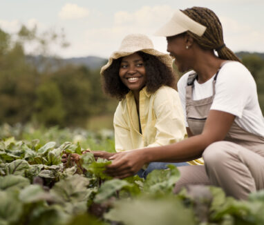 side-view-smiley-women-working-together